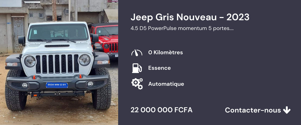 Jeep Nouveau - 2023 (9)